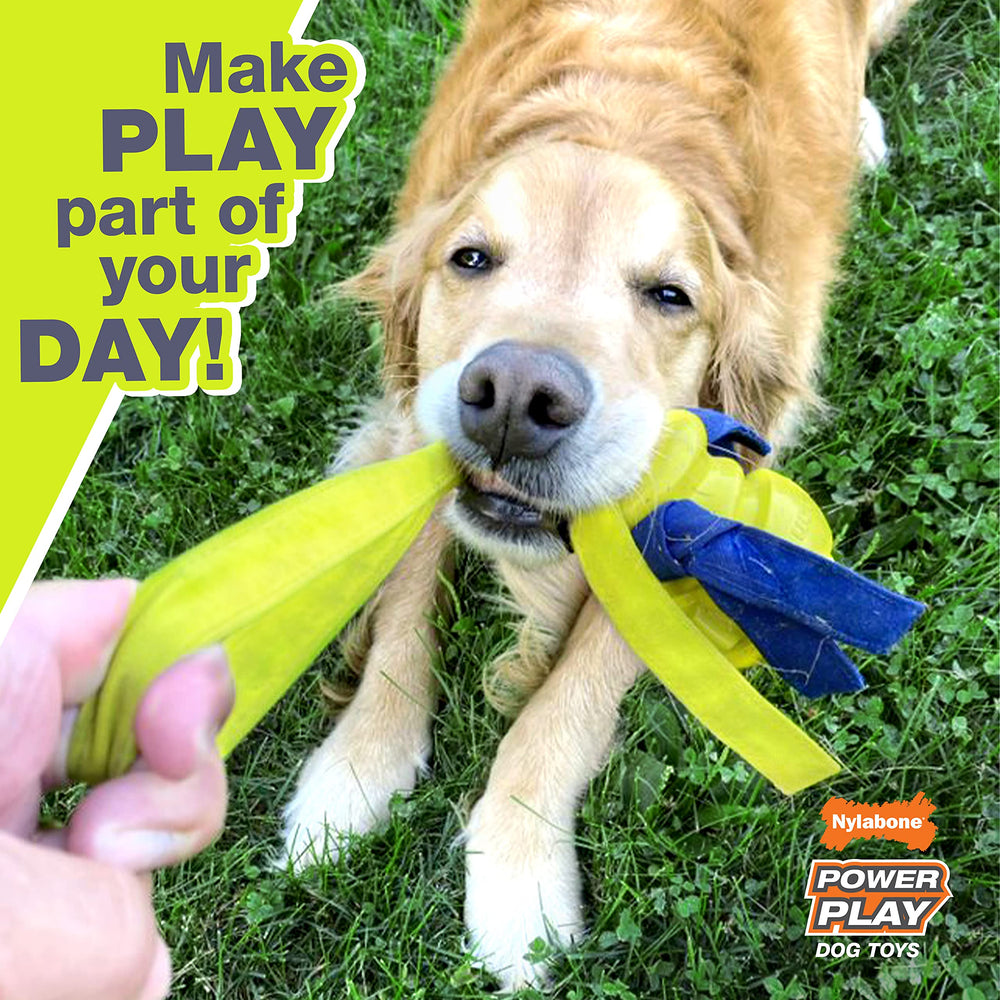 Nylabone Power Play Gripz, balle-basket avec bruit intégré pour le divertissement.