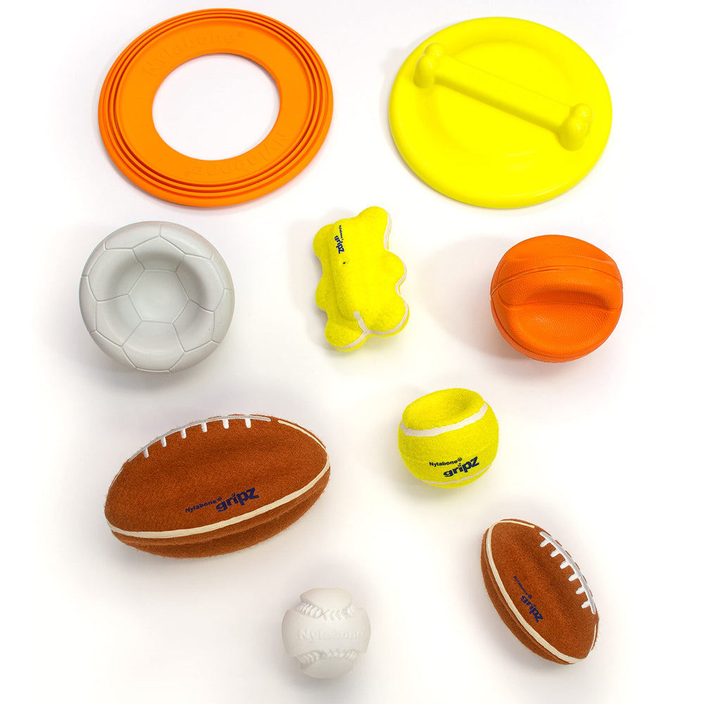 Nylabone Power Play Gripz, balle-basket pour jeu interactif et autonome.