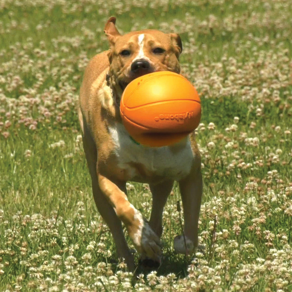 Nylabone Power Play Gripz : embout sifflet intégré pour stimulations sonores lors du jeu.