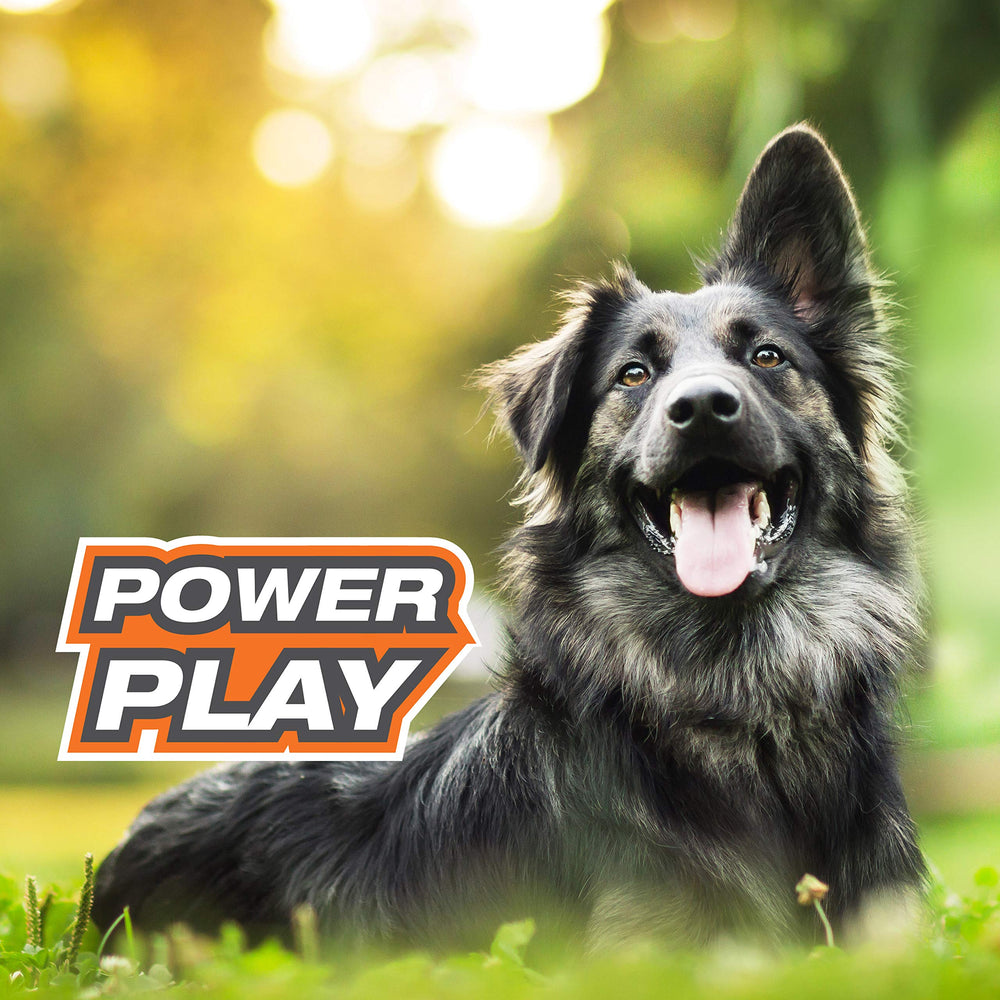 Nylabone Power Play Gripz : nettoyage facile après les sessions de jeu.