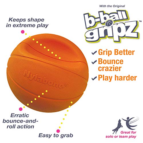 Nylabone Power Play Gripz : format robuste pour jeux de lancer et récupération.