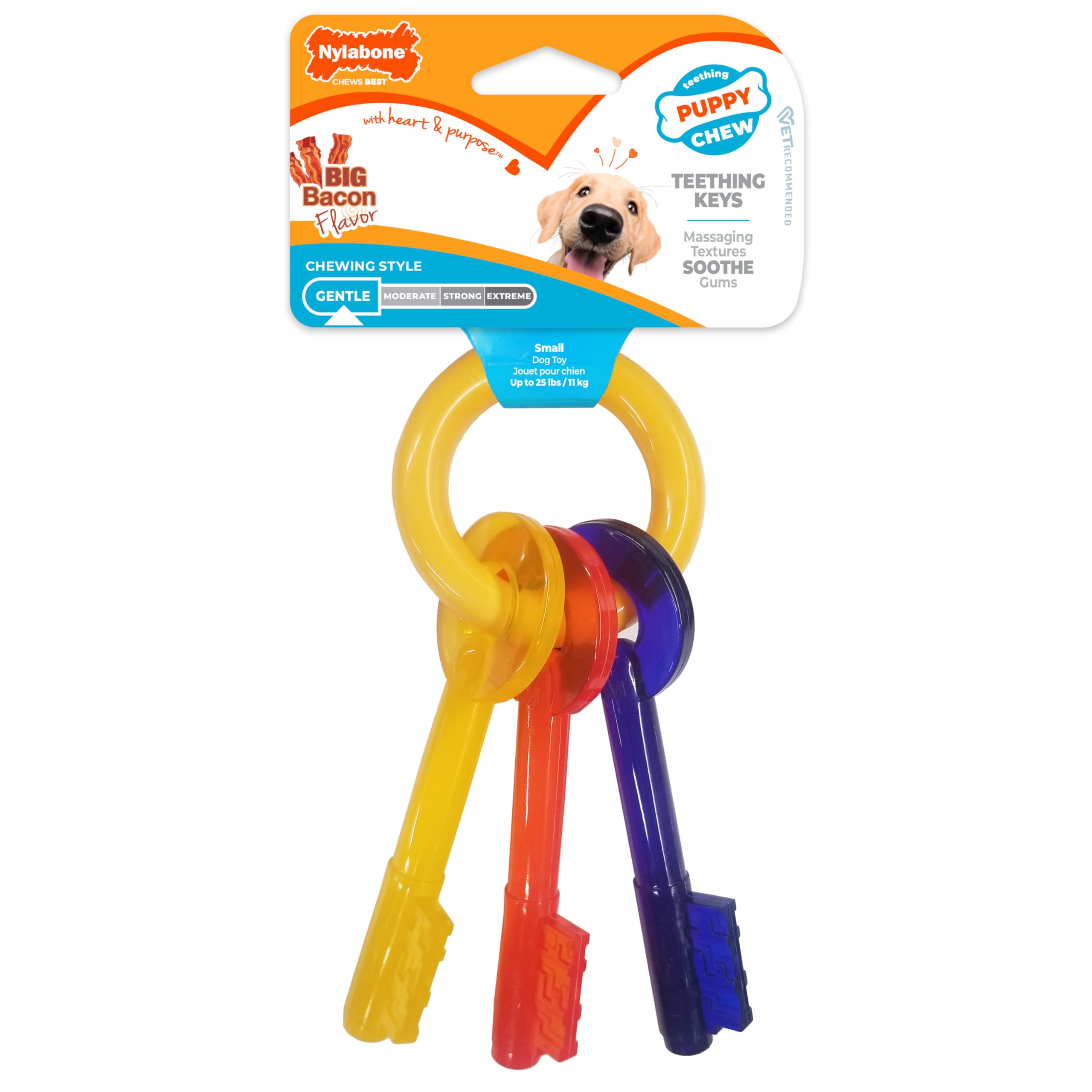 Nylabone texture invitante encourage une mastication positive et contrôlée.