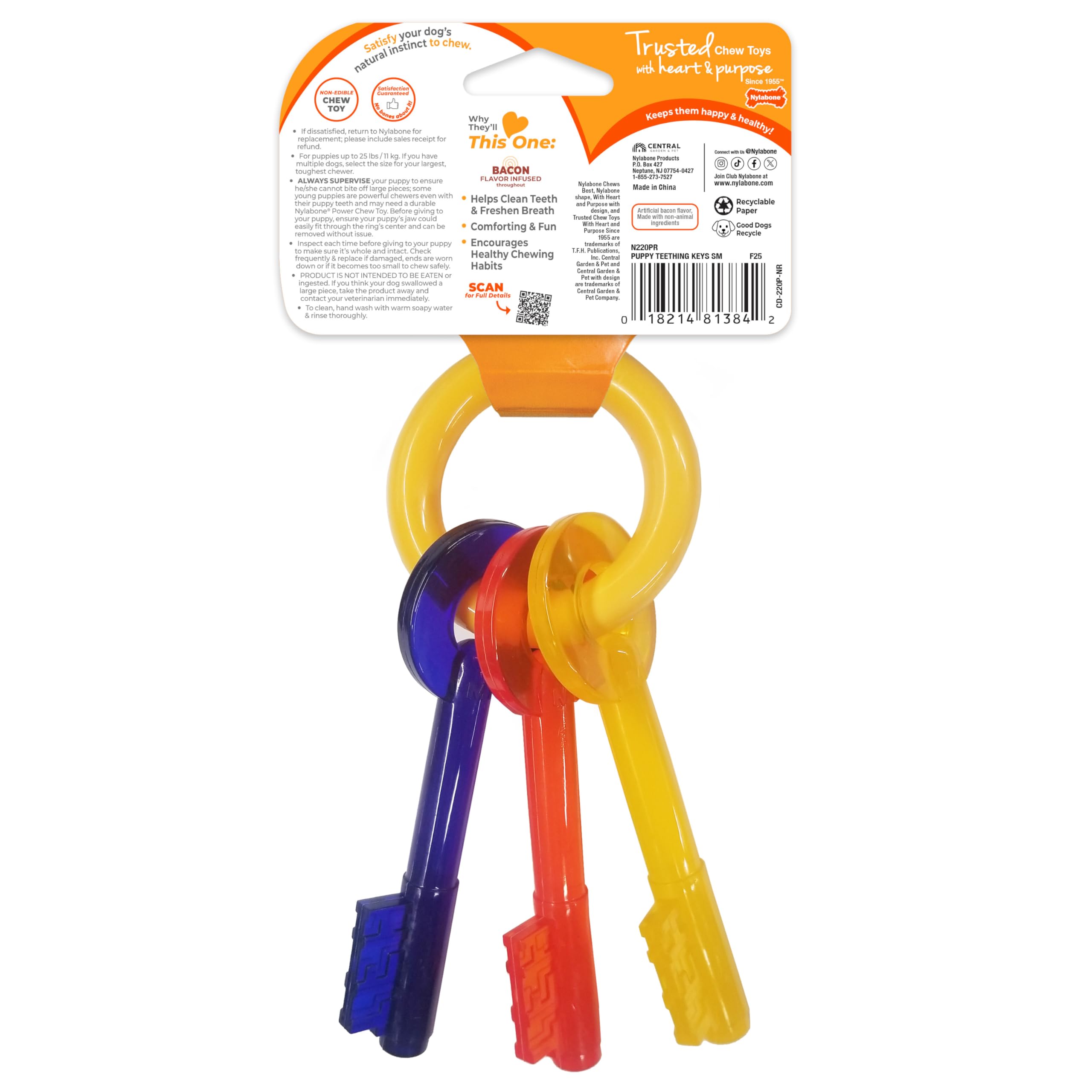 Nylabone outil d’apprentissage des habitudes de mastication chez le chiot.