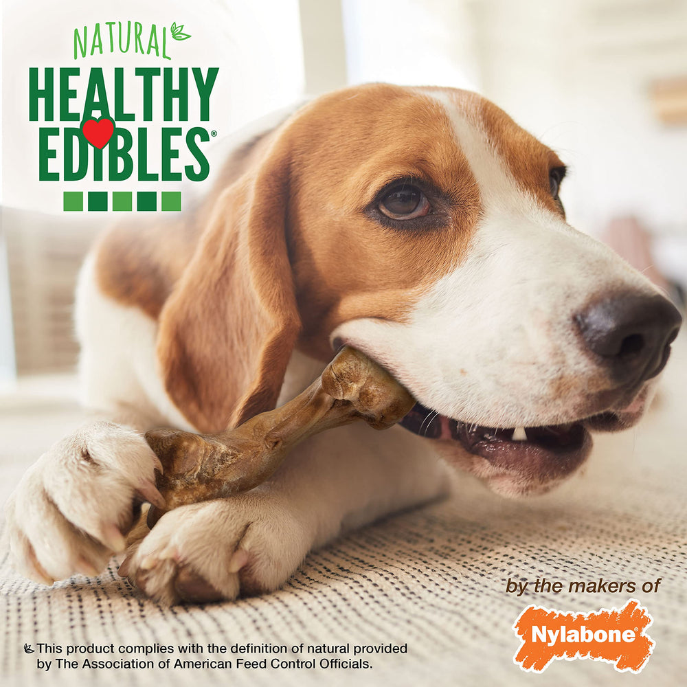 Nylabone recompense-pour education-chien, encourager les bons comportements