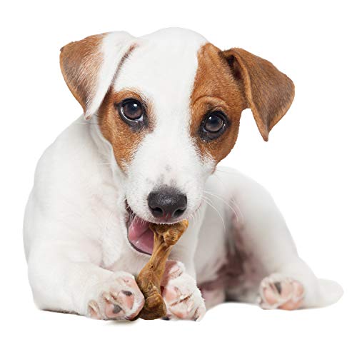 Nylabone os bouillon sain, ingrédients naturels et sans additifs.