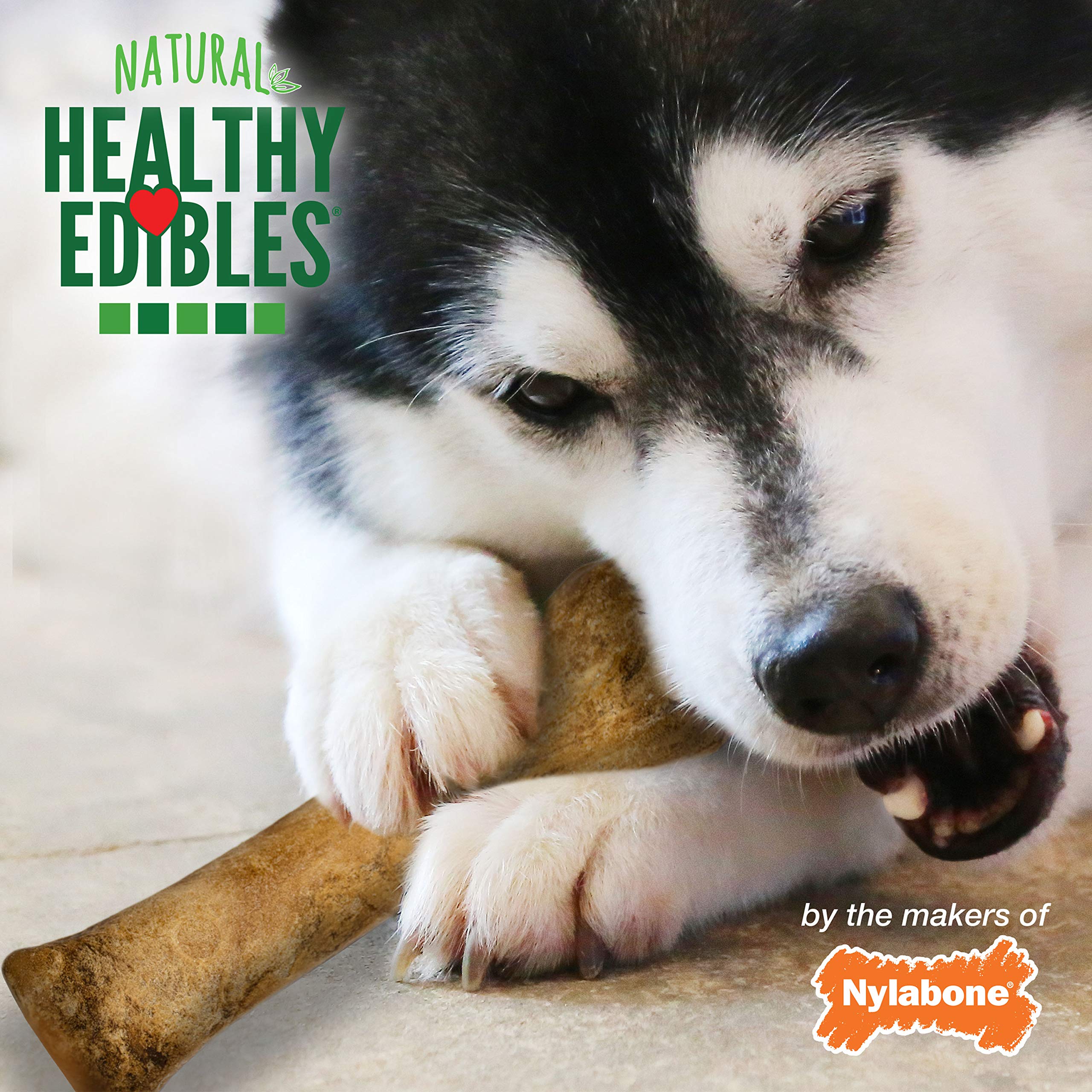 Nylabone saveur boeuf poulet naturel sans sel ajouté.
