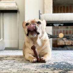 Nylabone saveur mélange pour petit chien, sessions de mastication plus attrayantes.