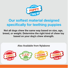 Nylabone saveur poulet chiot, mastication plus appétente.