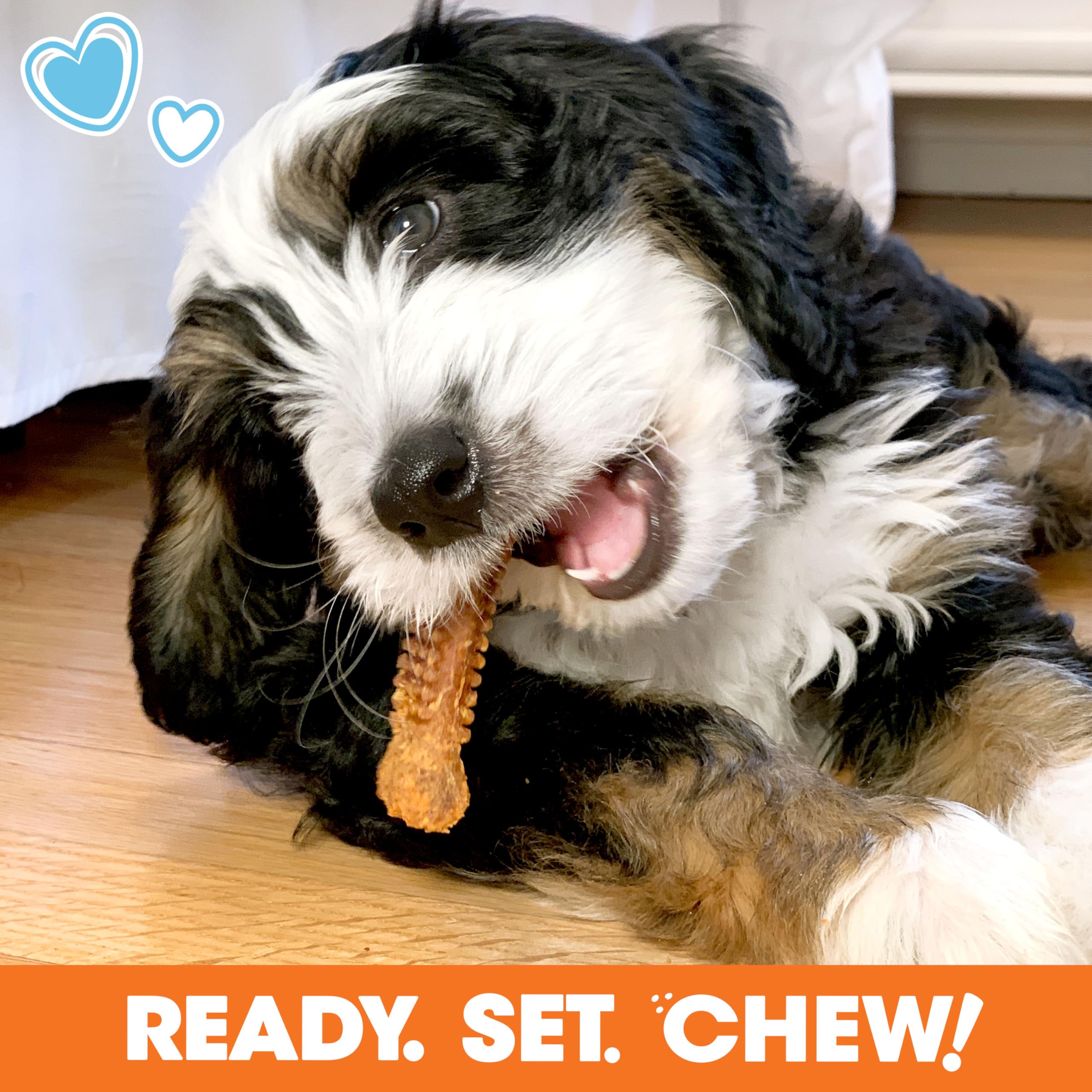 Jouet Gourmet Nylabone, saveur poulet et beurre d’arachide pour chiot.