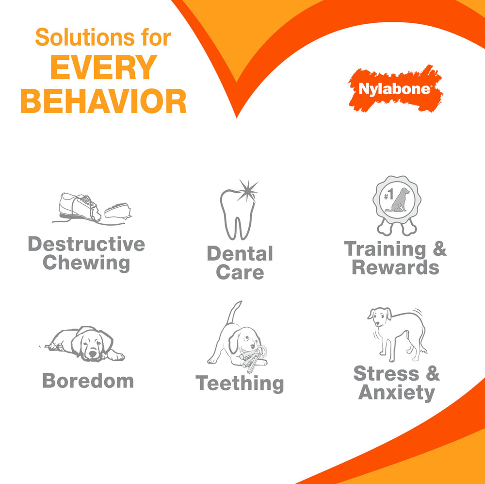 Nylabone Sensory: habitude positive, encourage morsure adaptée et routine saine.