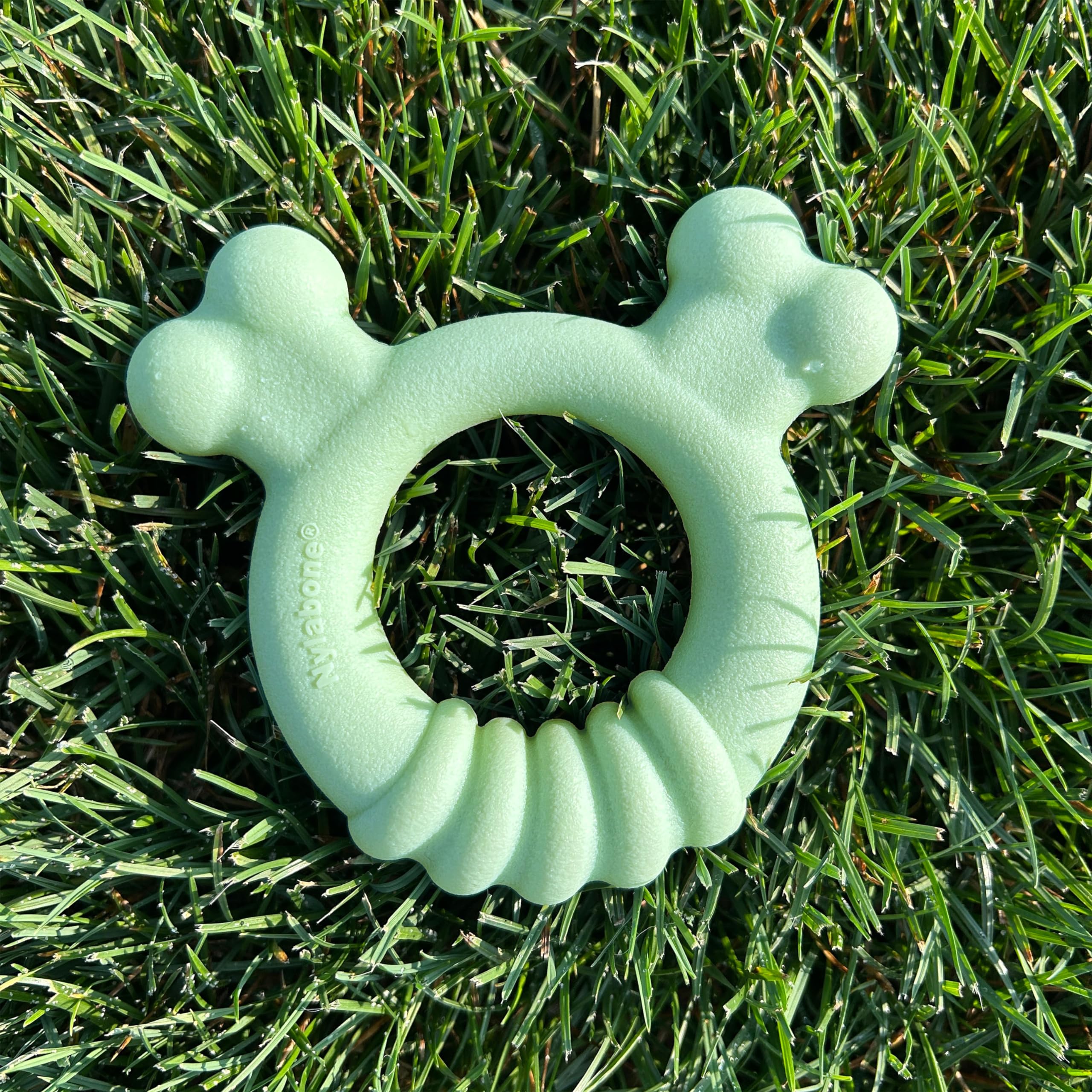 Nylabone Sensory: anti-ennui, jeu engageant pour occuper le chiot.