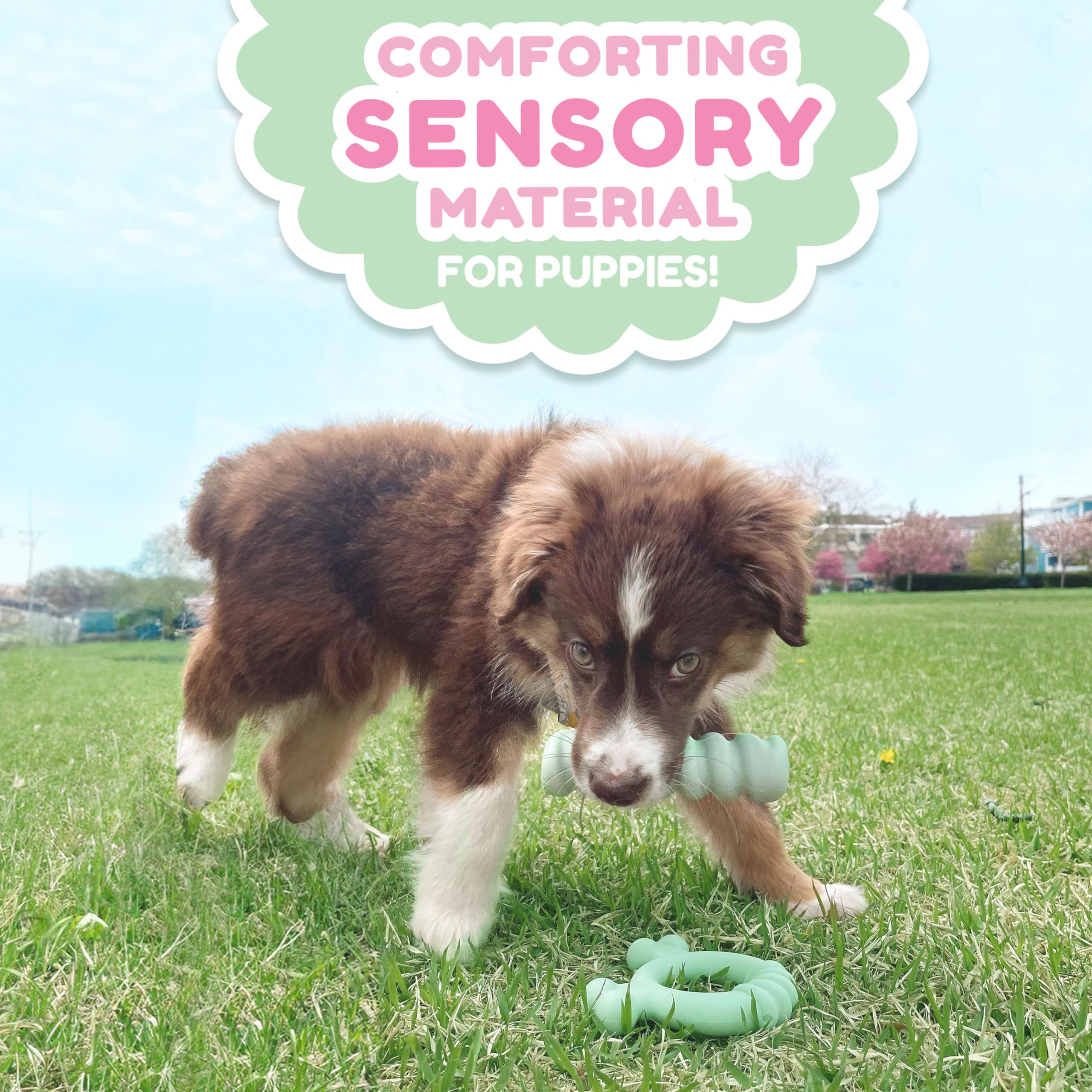Nylabone Sensory: saveur poulet appétente stimule le jeu et la mastication.