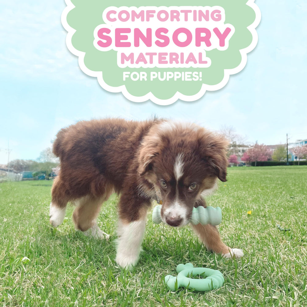 Nylabone Sensory: saveur poulet appétente stimule le jeu et la mastication.