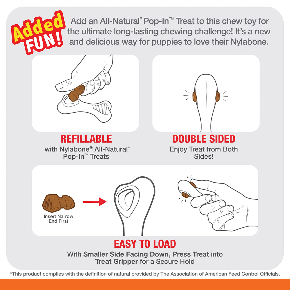 Nylabone Knuckle Bone stimulation mentale chiot, engagement prolongé.
