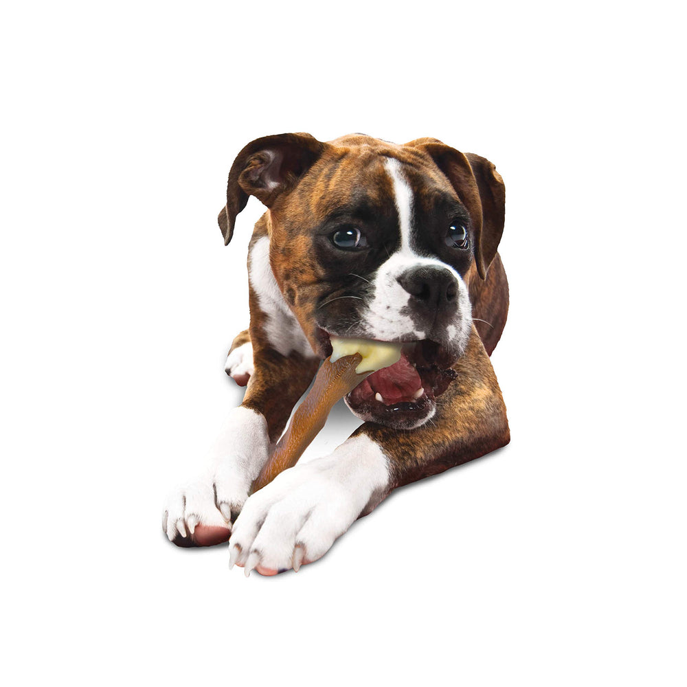 Nylabone surface texturee: nettoyage dents lors de la mastication.