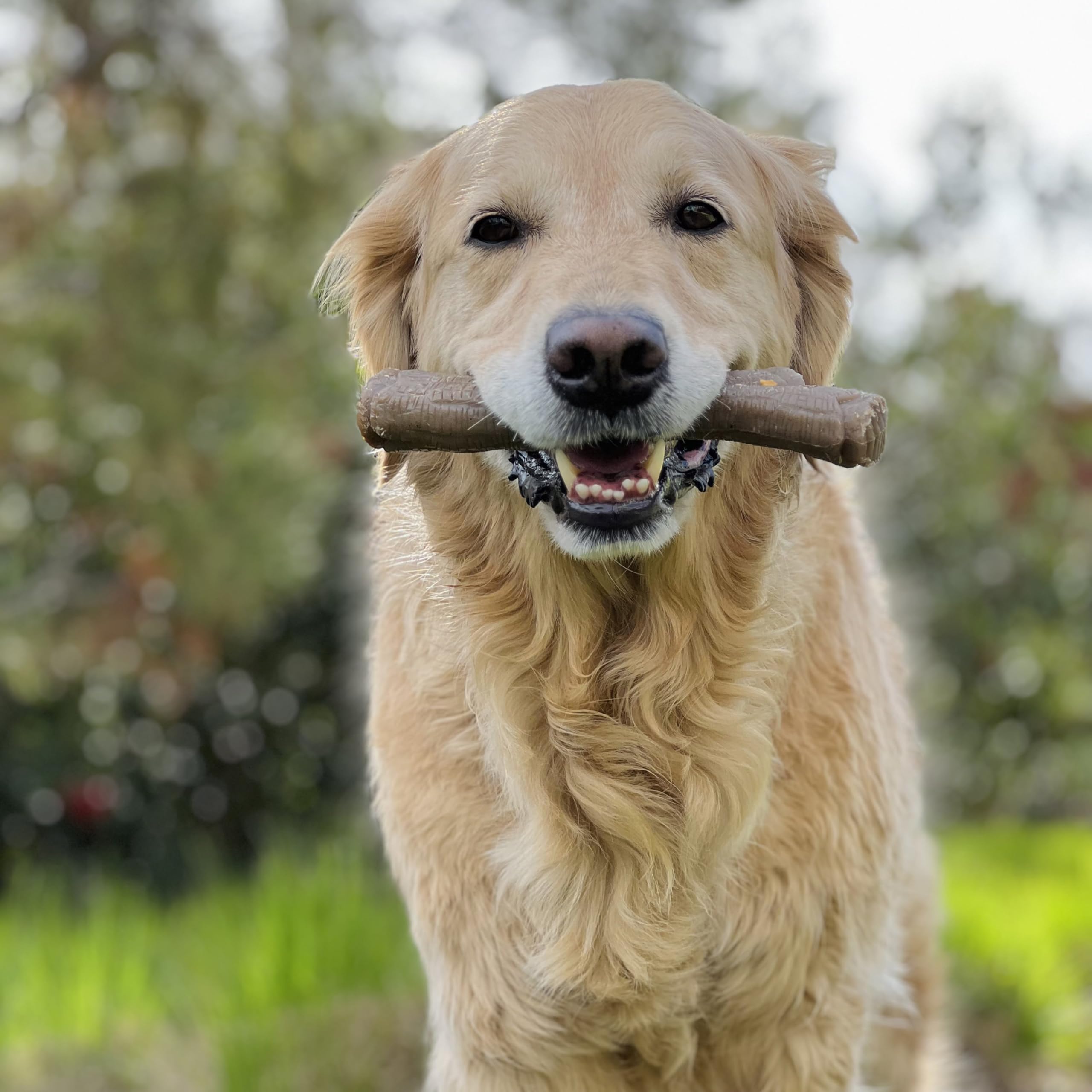 Texture ecorce Nylabone: prise facilitée lors de la mastication