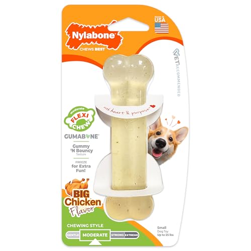 Nylabone Flexi Chew – texture molle et goût captif pour motivation à mâcher.