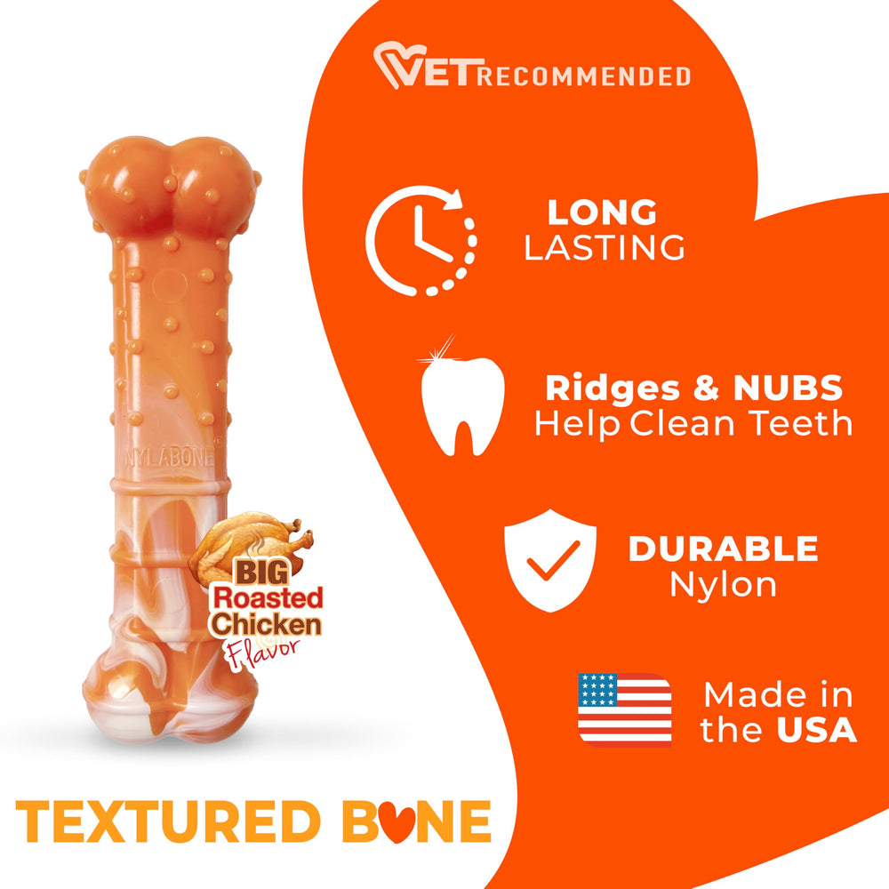 Nylabone texture nylon robuste, soutien à la dentition et au nettoyage dentaire.