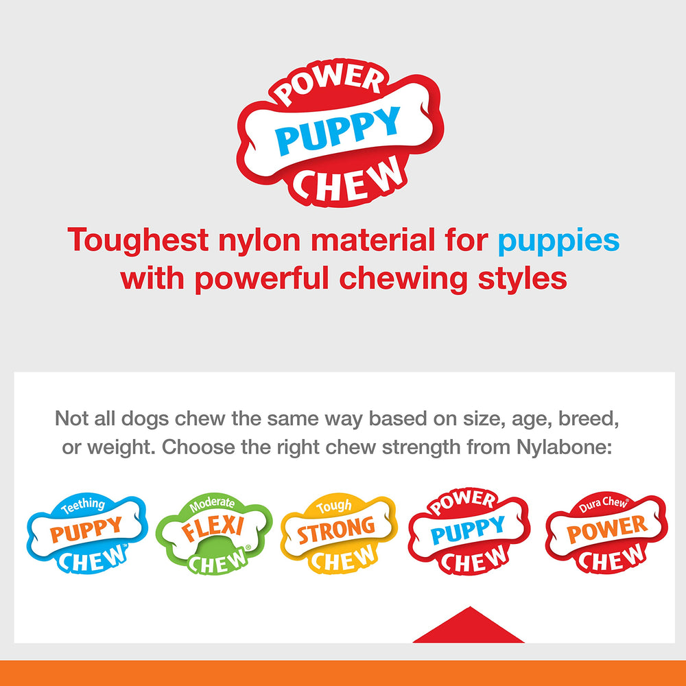 Nylabone texture nylon durable, surface agréable pour mâcher.