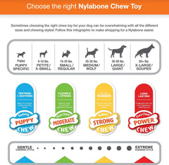 TFH Fun N Fit Flex Oval RNG MD de Nylabone, action rotation pour détourner les mâchonnages destructeurs