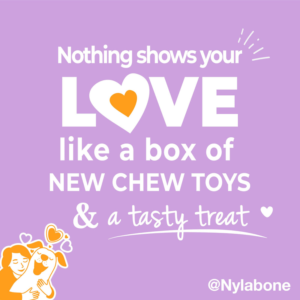 Friandise Nubz naturelle nylabone, ingrédients limités et digestibilité.