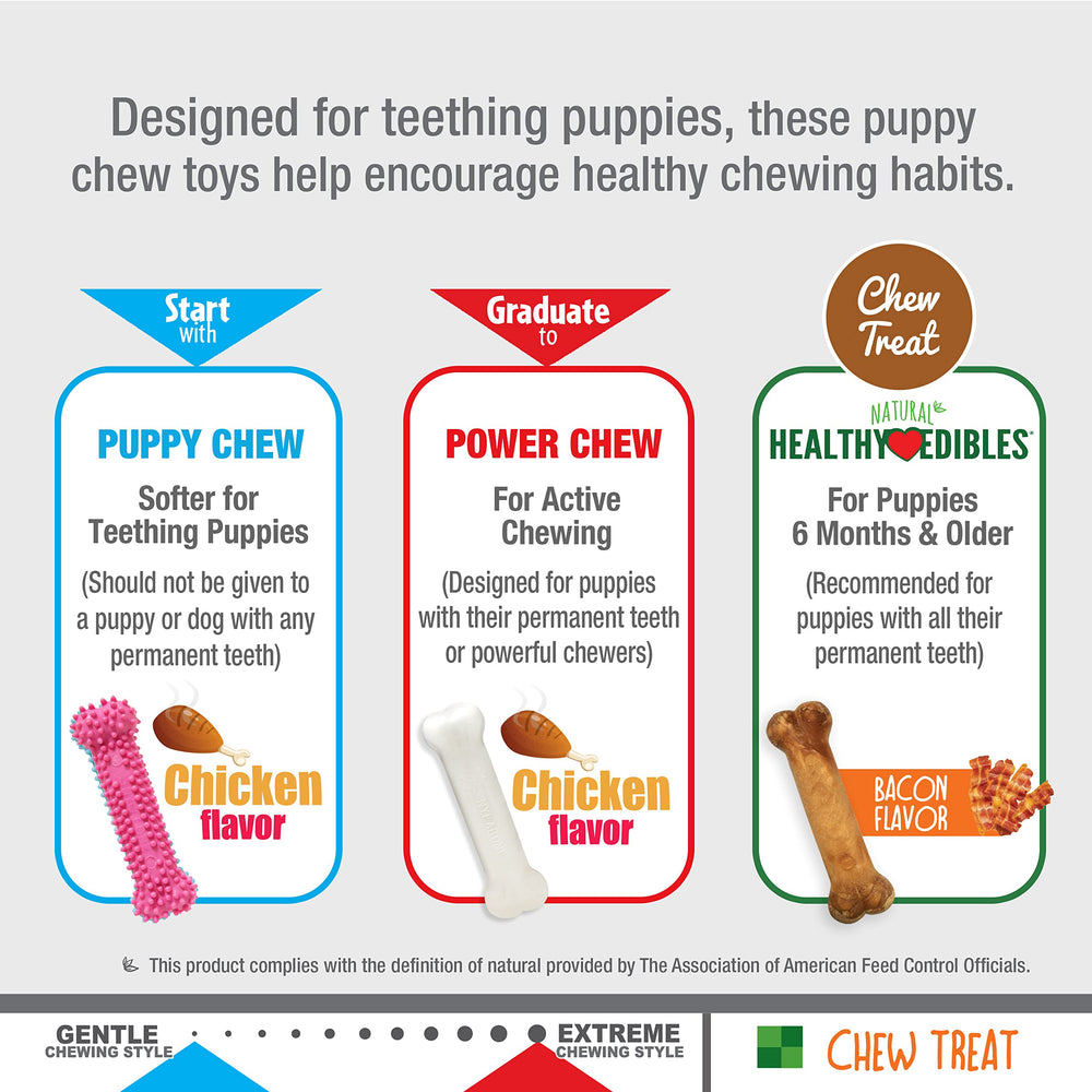 Nylabone Puppy: friandise naturelle bacon — goût appétissant et digestibilité