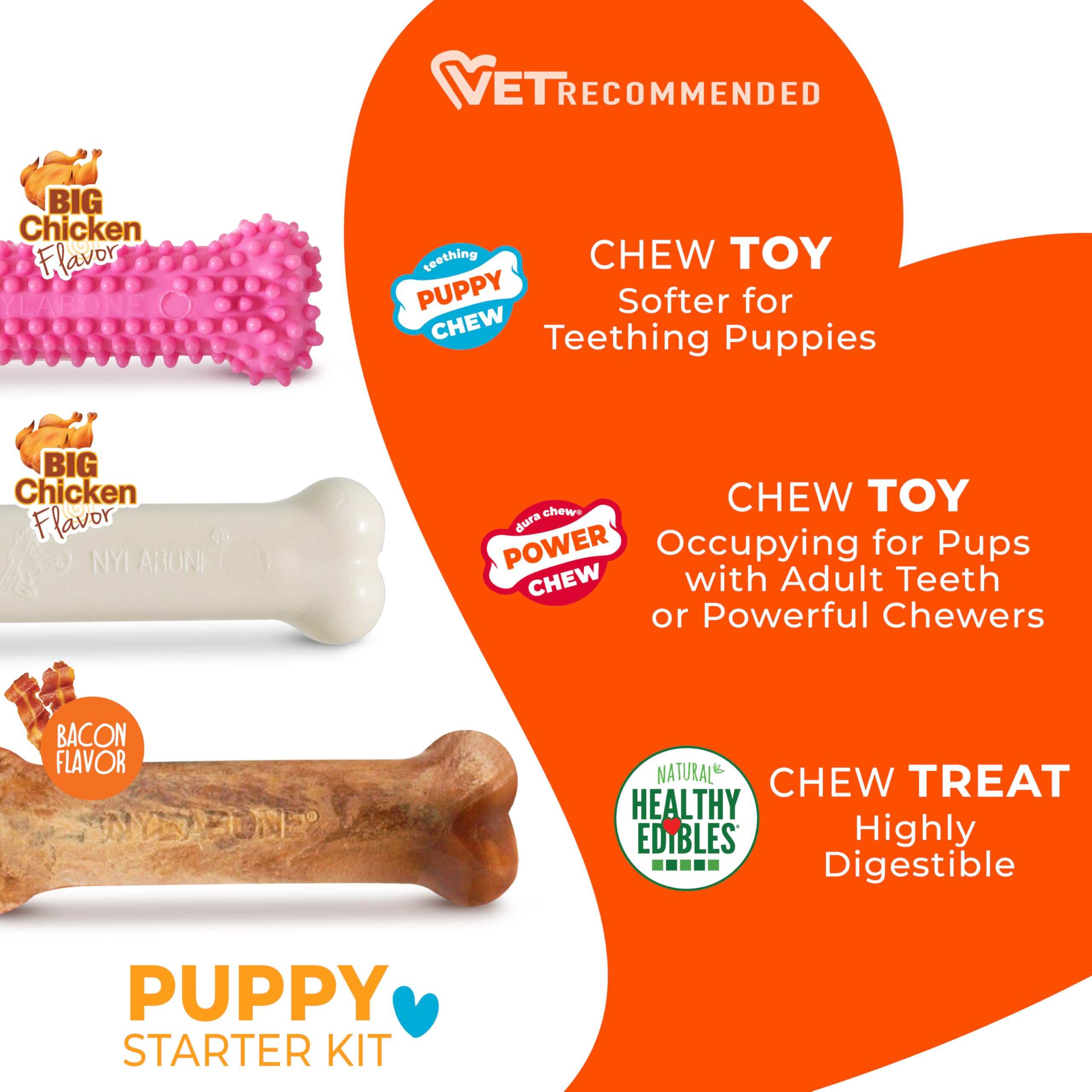 Nylabone Puppy: gourmande poulet — forme et goût qui captent l'attention du chiot