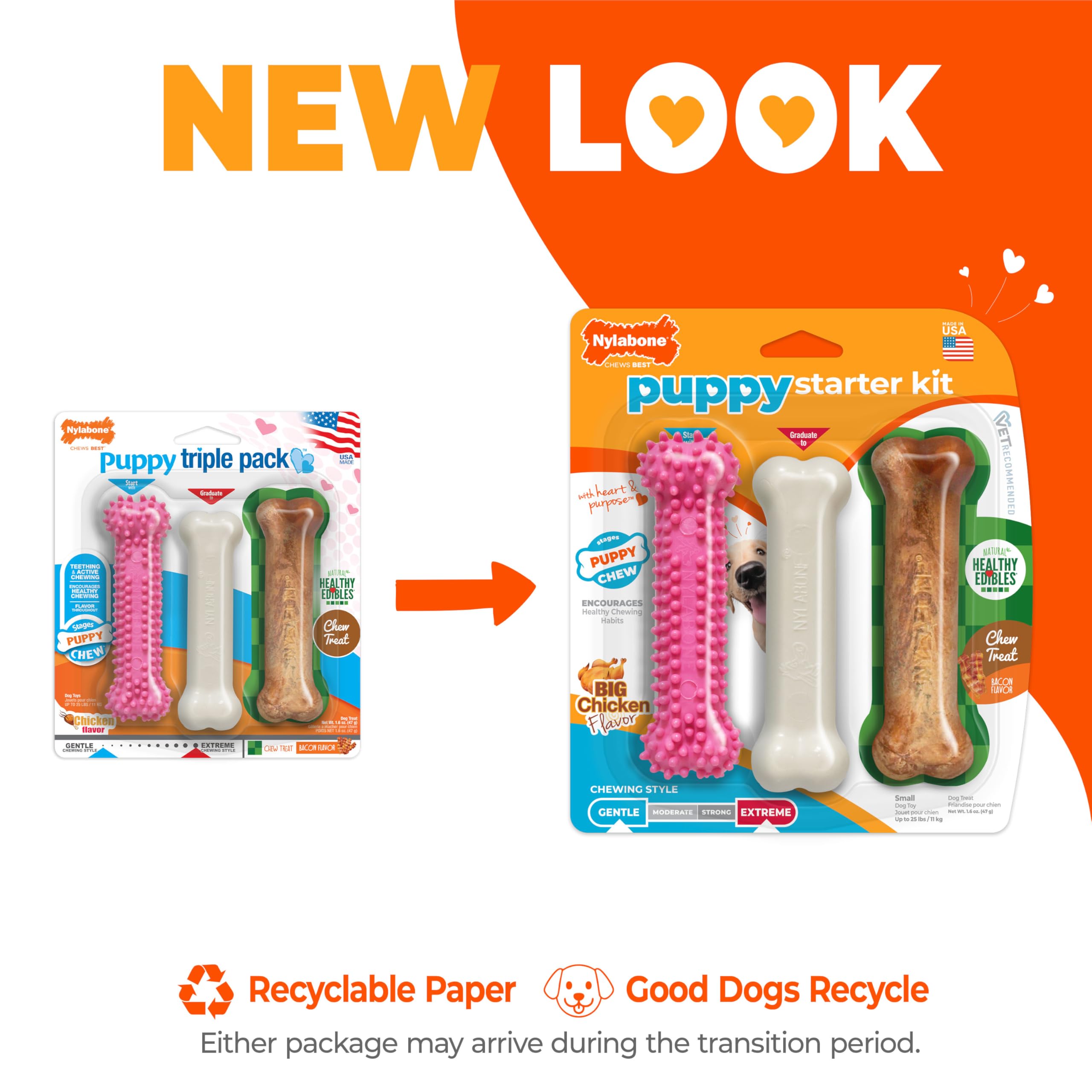 Nylabone Puppy: jouet-texture bacon — stimulation et plaisir de mastication