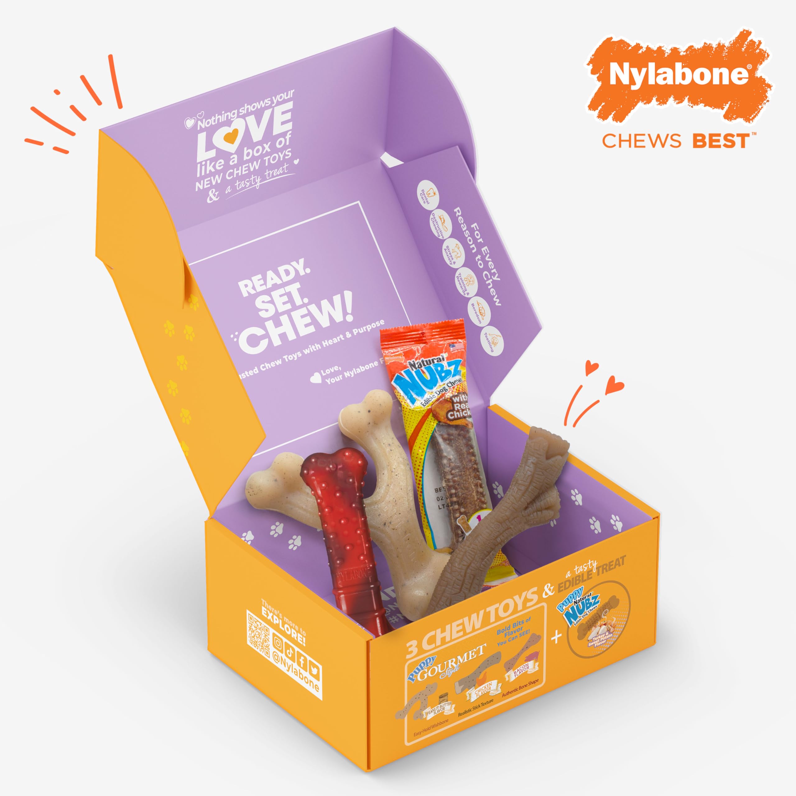 Utilisation quotidienne par petit chien avec ce coffret nylabone.
