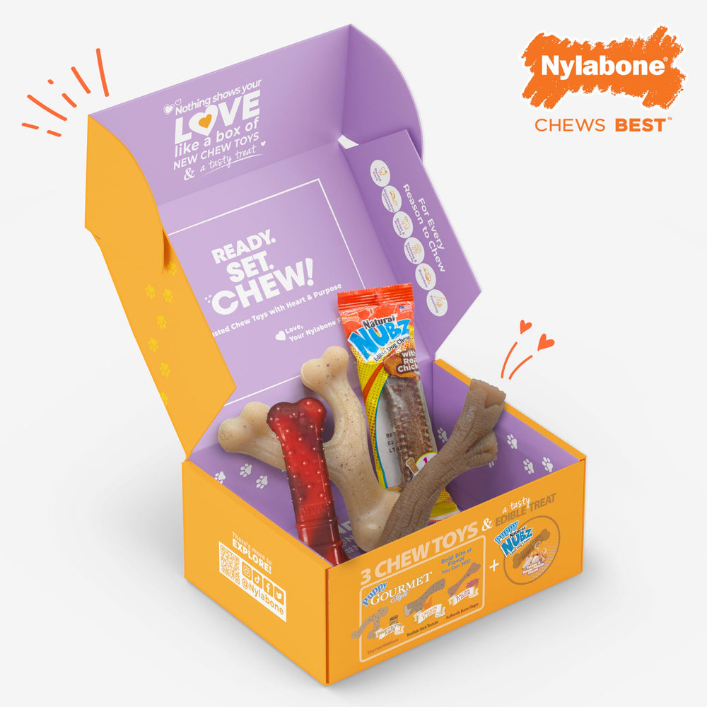 Utilisation quotidienne par petit chien avec ce coffret nylabone.