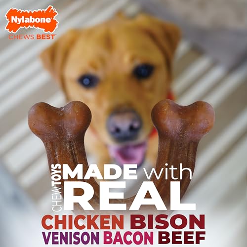 Nylabone Wishbone bacon, design à 3 extrémités pour varier les prises