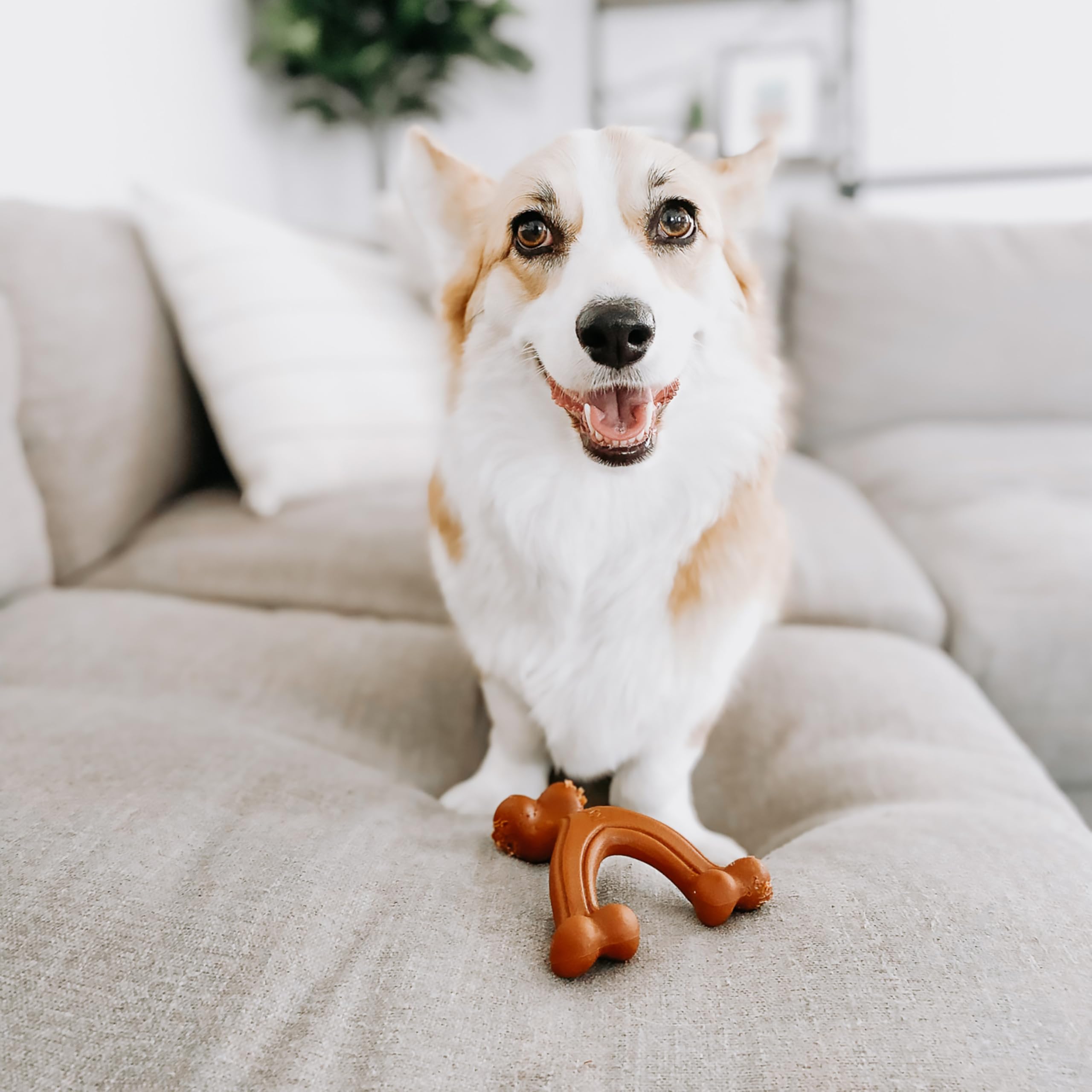Nylabone Power Chew Wishbone, design confort et prise en main optimale.