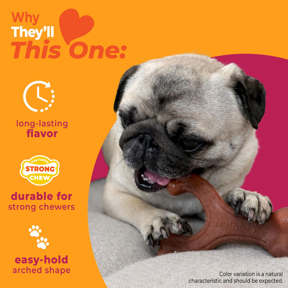 Nylabone wishbone petits chiens – os incurvé pour divertir