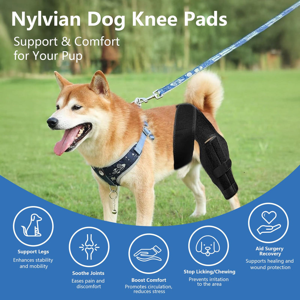 Attelle Nylvian genou chien arriere — Guide de mesure pour une taille adaptée.