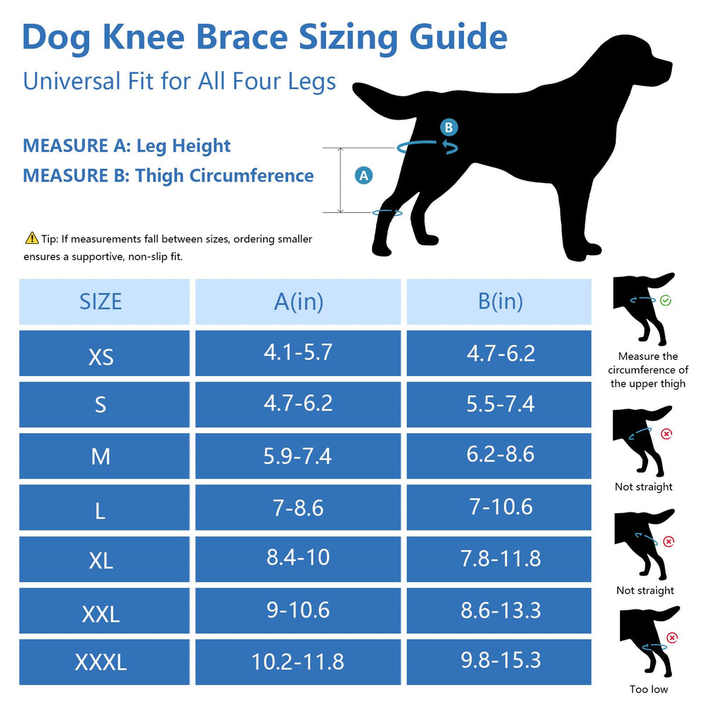 Sangles Velcro longues assurant une fixation fiable sur le genou arrière du chien.