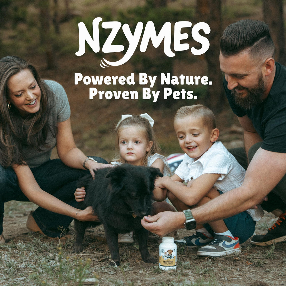 Nzymes Bac-Pak Plus compatible chiens, chats et chevaux.