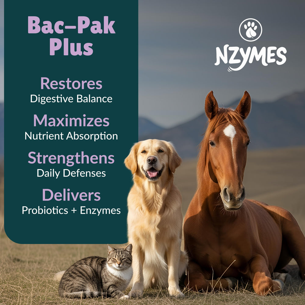 Étiquette claire de Nzymes Bac-Pak Plus prête à l’emploi.
