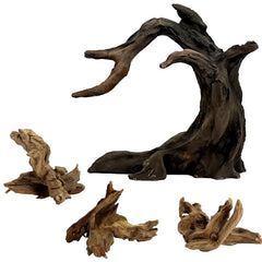 Obantrsz Modèle résine Anubias réaliste pour aquarium, décor élégant et sûr.