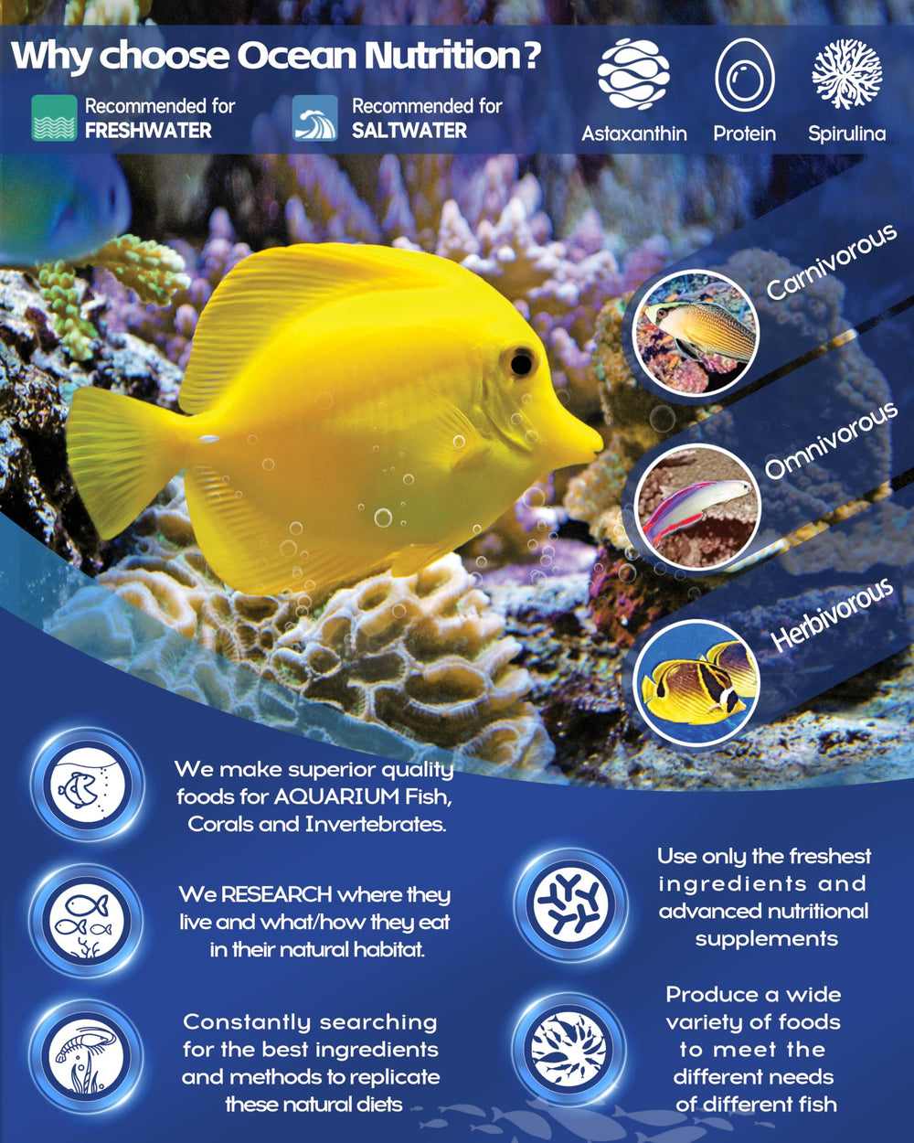 Formula One, idéal pour angelfish, papillons et poissons-clowns.