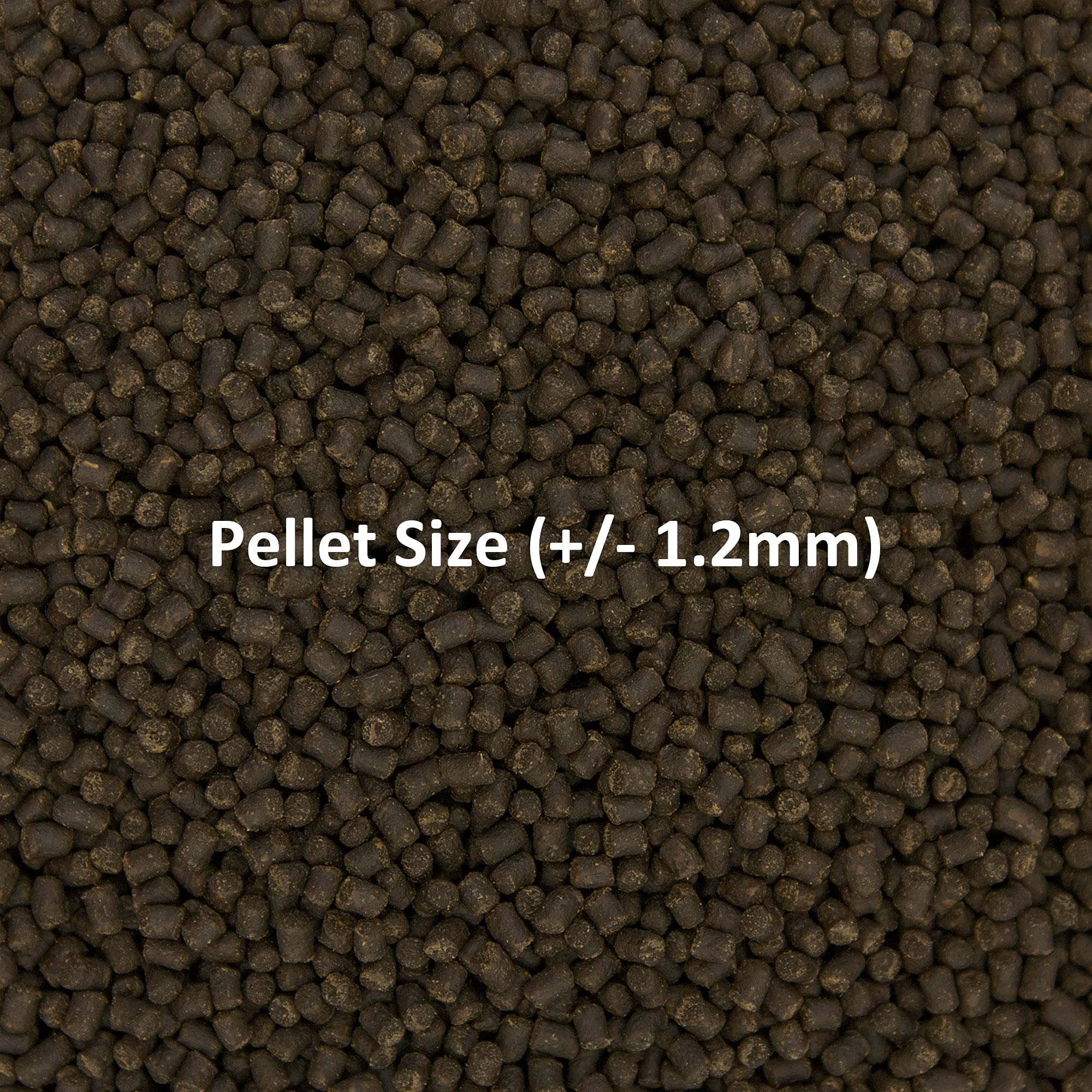 Ocean Nutrition Formula Two Pellets, teneur élevée en protéines soutenant la vitalité des poissons.