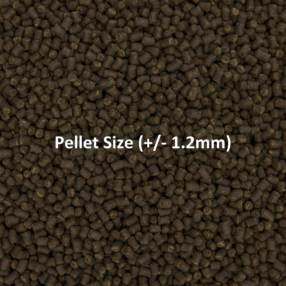 Ocean Nutrition Formule Deux - paillettes ne turbident pas l'eau et maintiennent l'eau claire.