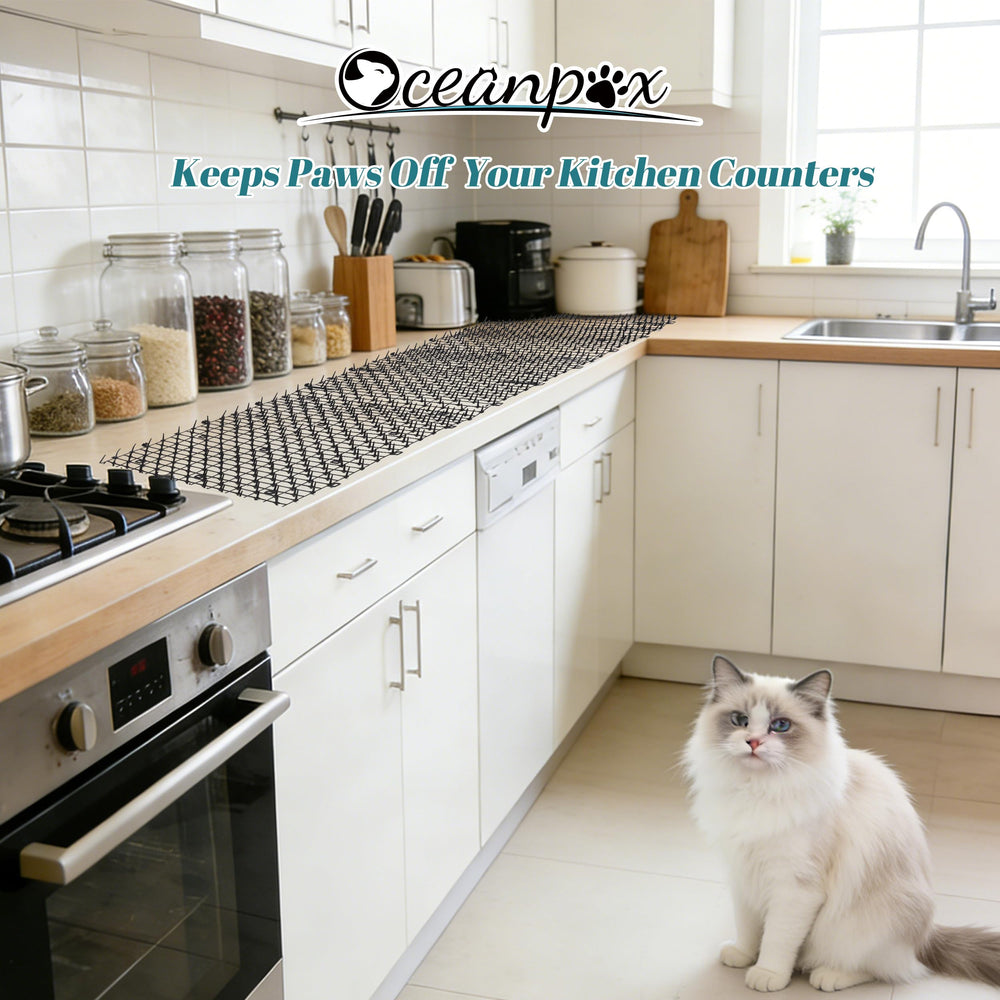 OceanPAX Tapis dissuasion chat jardin, éloigne les chats des parterres.