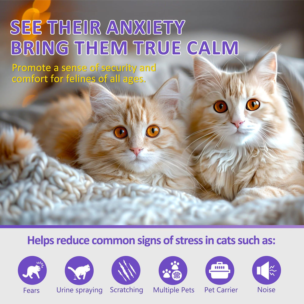 Bouteilles de recharges phéromones OcePor, 12 flacons de 48 ml pour calmer les chats.