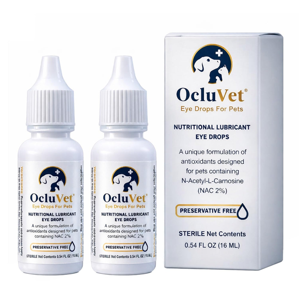 Gouttes oculaires OcluVet présentées dans la bouteille pratique pour l'entretien oculaire des animaux