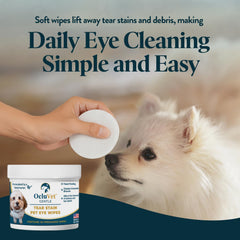 Lingettes OcluVet pour visage propre chez les chats, soin quotidien