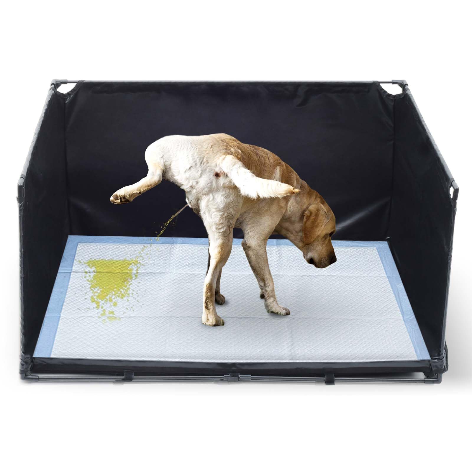 OCMML bac-litière intérieur chien moyen, rebords hauts, réduction des éclaboussures.