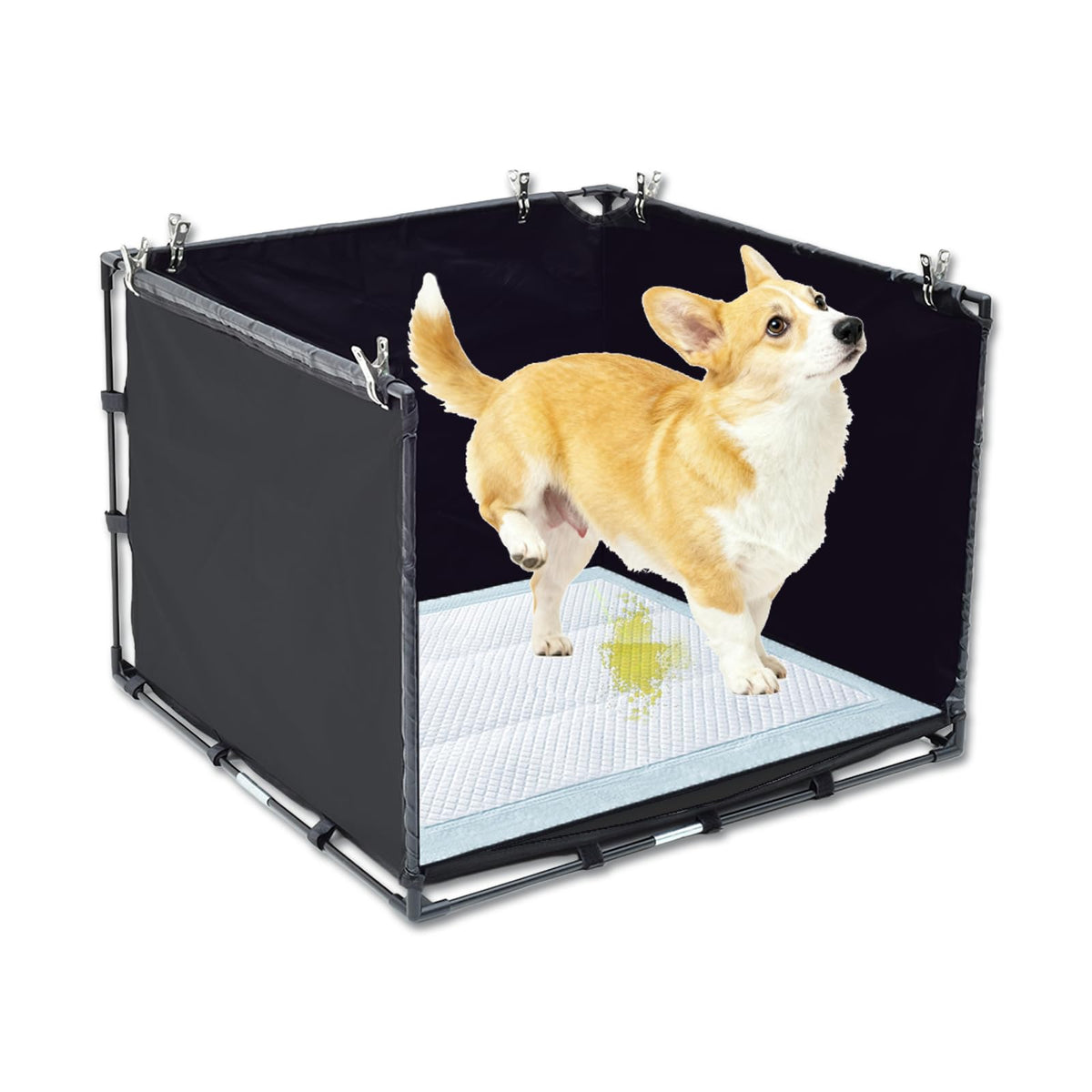 OCMML bac toilette chien petit avec murs hauts pour éviter les éclaboussures.