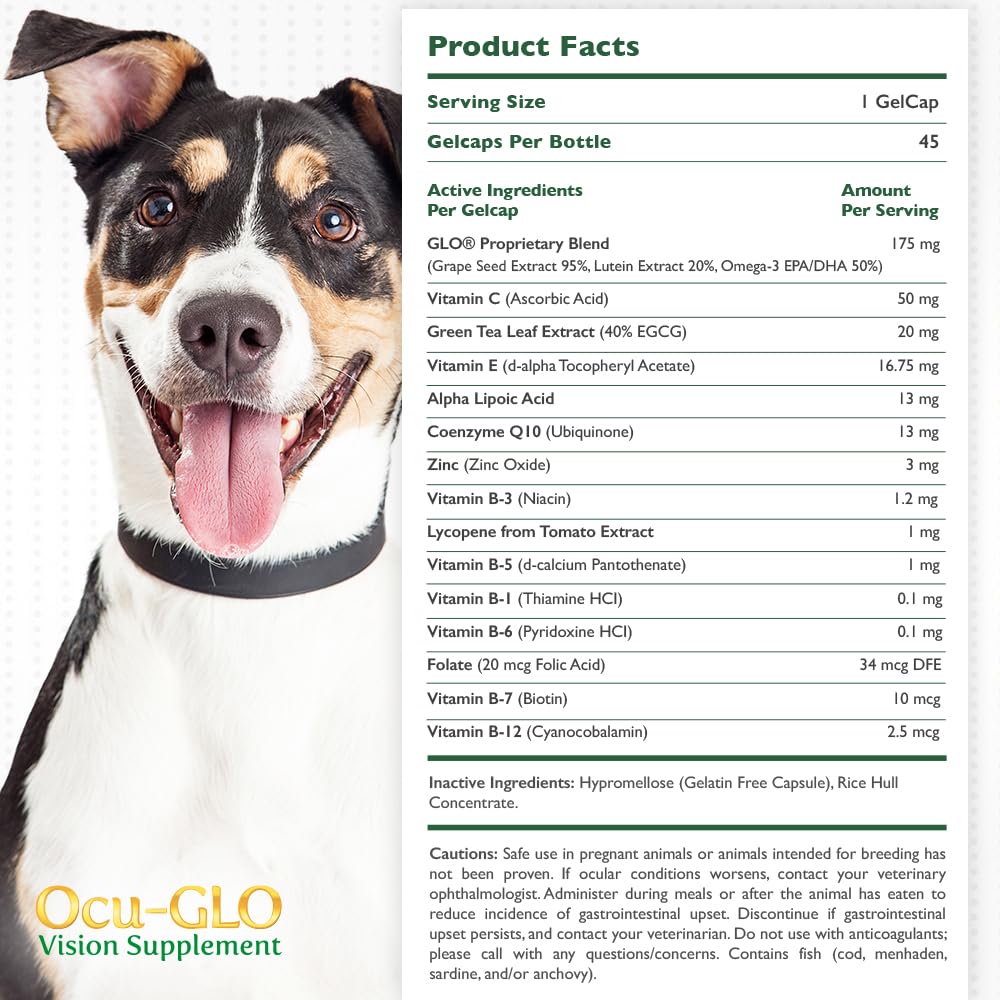 Ocu-GLO Vision avec lutéine et oméga-3, nutriments pour les yeux canins