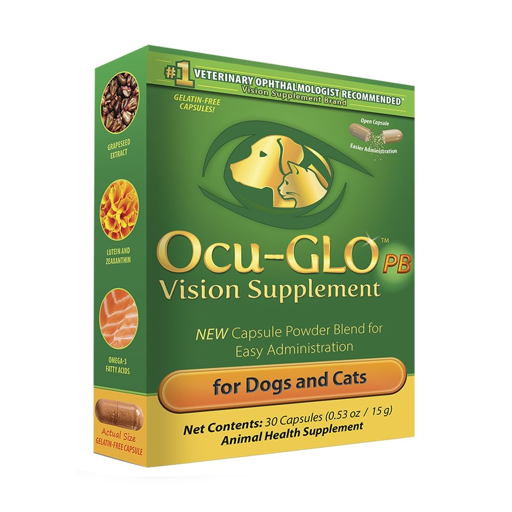Ocu-GLO PB Vision – emballage poudre facile à ajouter à la nourriture.