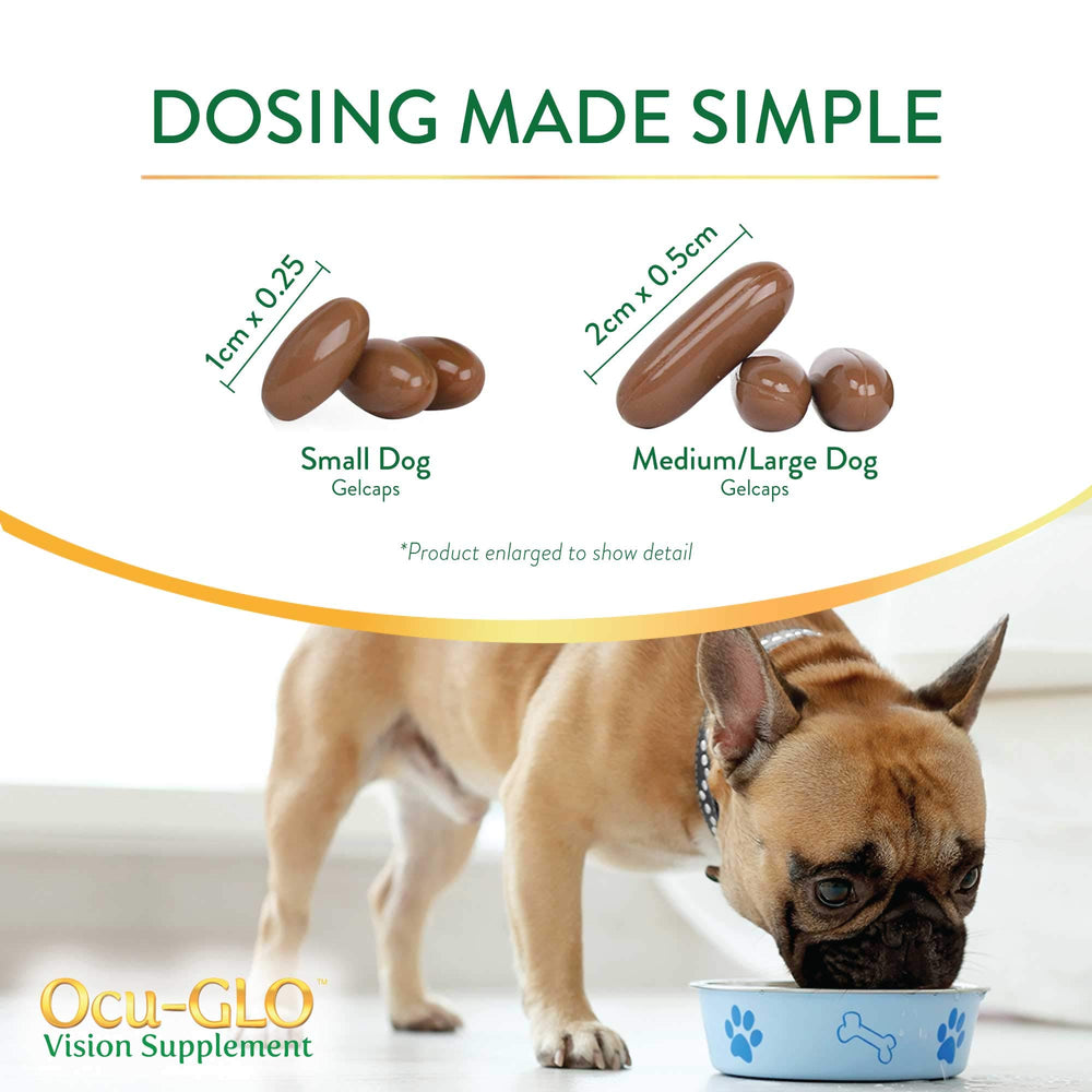 Ocu-GLO Vision, utilisation facile dans la nourriture canine de toutes tailles